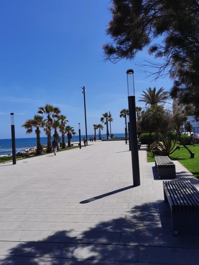 Moderno Apartamento Familiar Junto Al Mar - Conejito Daire Torrevieja Dış mekan fotoğraf